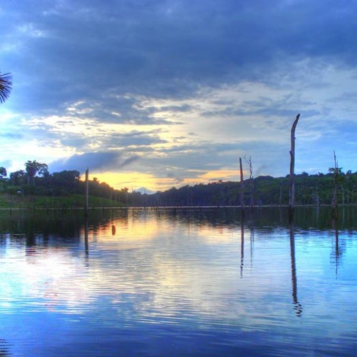 Zendegi-Shamloo-Margot