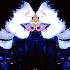 Owl City - Fireflies (Acoustic Cover) Neon.Nicotine