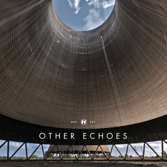 Other Echoes - Juice Bumps