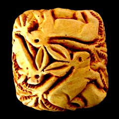 GO INTO A HARE : 17-1-13