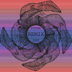 FUTURE DUST - Into the Void (DenisP remix)