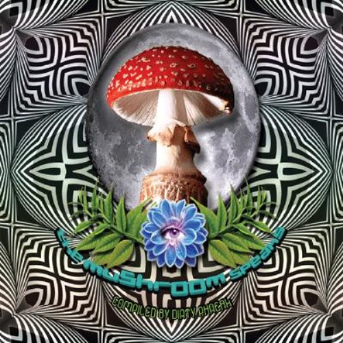 Virtuanoise-Briscoea  ( Lamat Records ) [FREE]