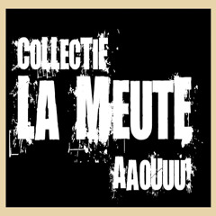 WOLF KUB avec Wolf Antho&Joy // Wolf Yocko // Wolf Telles