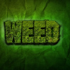 Smoke Weed. Dubstep Beat,  by Flys