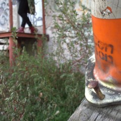 Don't Sit On The Bench, Sit With The Bench