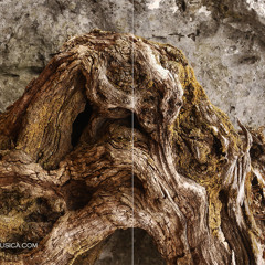 Bole - Ad Gure Nameh