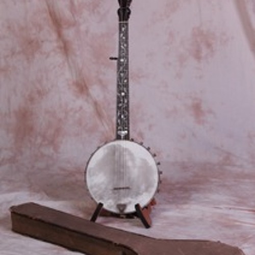 Stream Skinhead Banjo, Bloody Williamson by Gin Ridge Records Listen