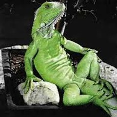 Reptilian Sextape #666