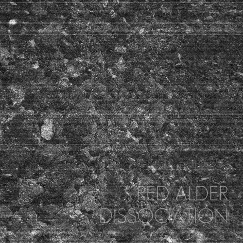 Red Alder - Fogs