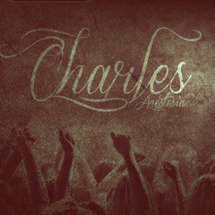 Charles' Ans' beats pro -Fly ( uso libre )