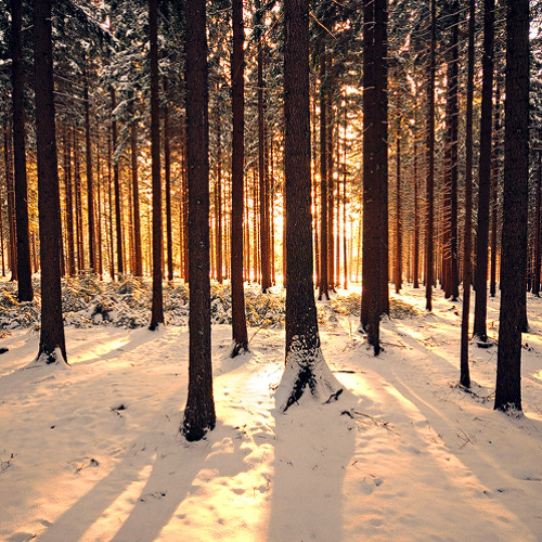 Gold Lip - Breakfast Song