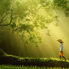 Life journey (draft)