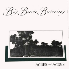 Big Barn Burning - Brand New Day