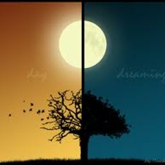 Day Dreamin -Curtis  Honey