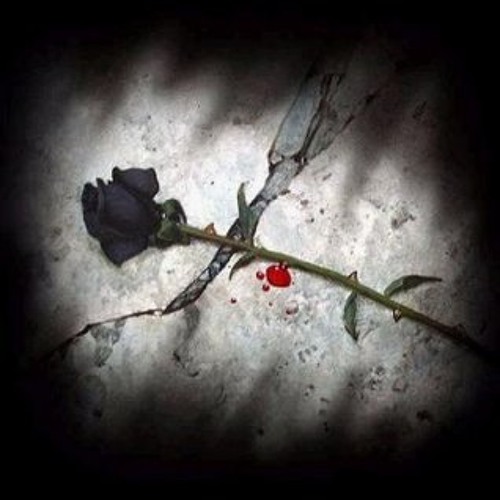Stream 16. Porta - Mi Rosa Negra [Primera Versión] (Con Bazzel) by  PortaIneditos1-Portador07