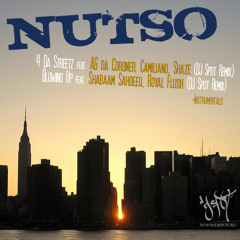 01 Nutso - Blowing Up ft. Shabaam Sahdeeq, Royal Flush (DJ Spot Remix, cuts by Chinch33)