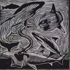 Eels / Wild Journeys