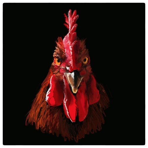 Dj Playmobil - Rencontre Avec Une Poule (Free Download)