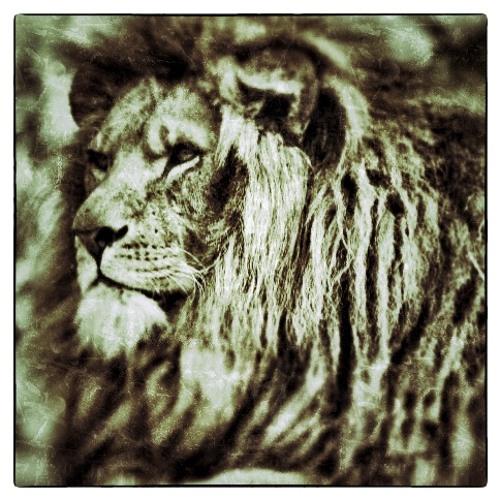 Mental Dub Expression - Obsession riddim