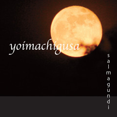 Yoimachigusa (Evening Primrose)
