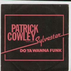 Patrick Cowley & Sylvester - Do You Wanna Funk (Pavo edit) :::FREE DOWNLOAD:::