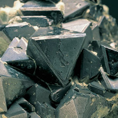 Mr. Plees - Magnetite