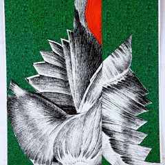 La bajada (¥√L REMIXX)