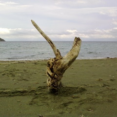 Solar Beat - Twisted