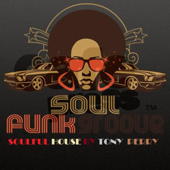 SOULFUL HOUSE GOLDEN OLDIES AND NEW BY TONY PERRY
