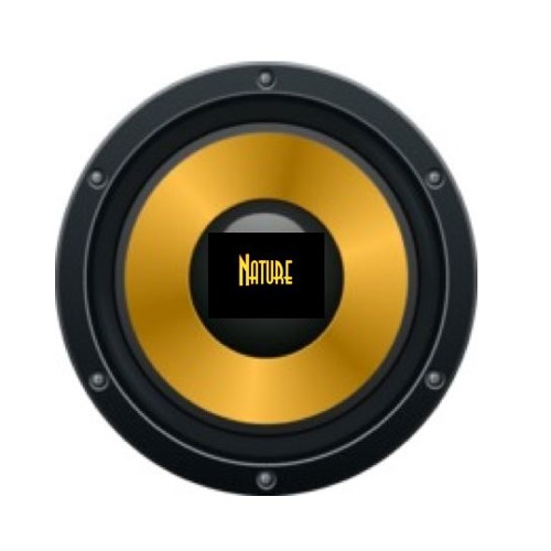 through these speakers (I see u)