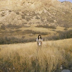 Lions, Tigers, and Bear Lake Monsters - Marny Proudfit