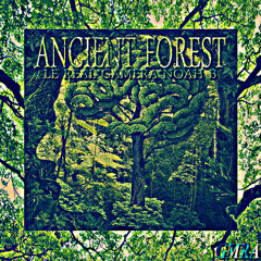 LE REAL 現実 ~ ANCIENT FOREST (PROD. NOAH B & GAMERA)