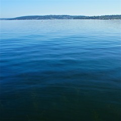 Lake Washington Suite - 3. Elemental Indifference