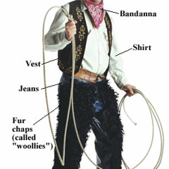 04 cowboy dancin dave