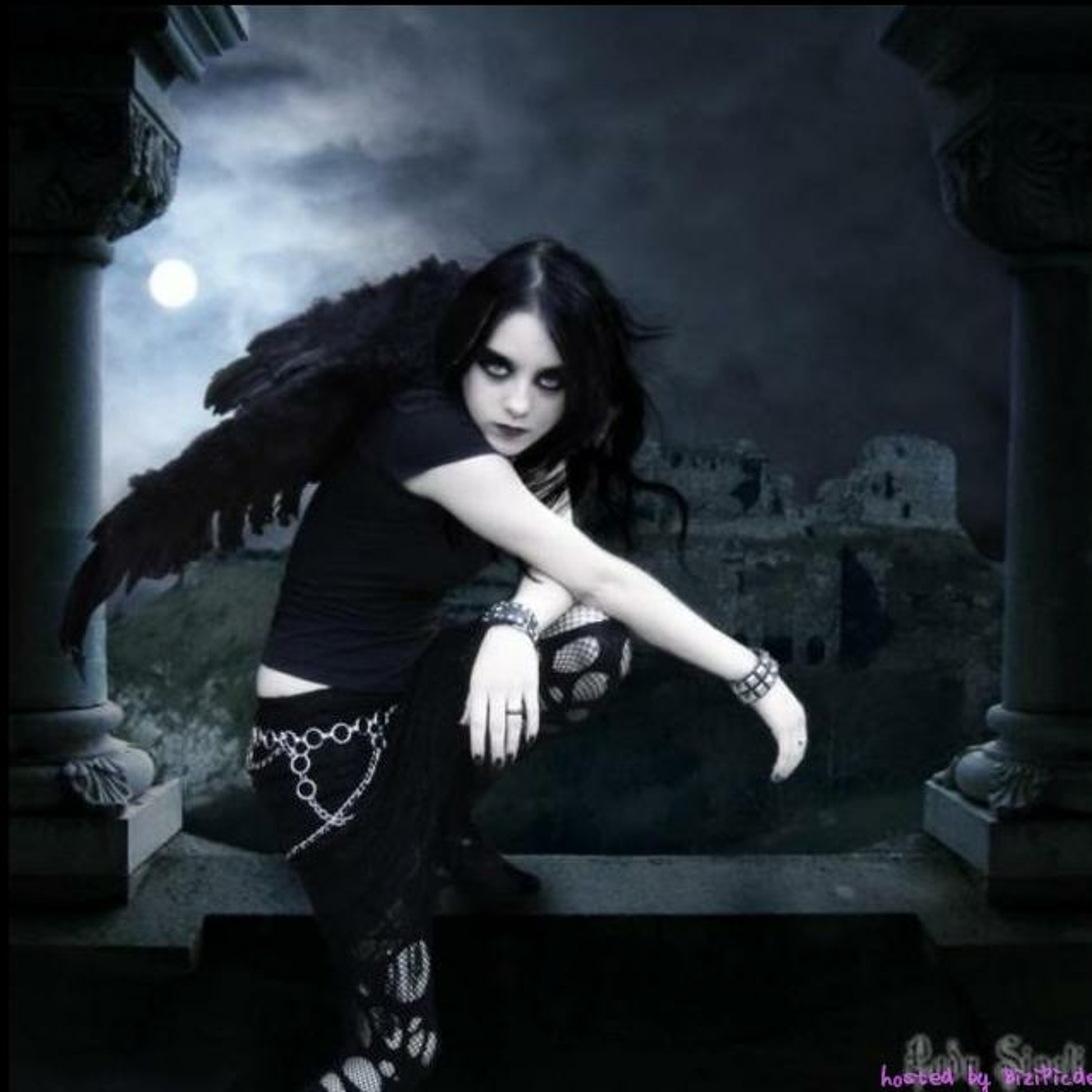 Evol Onyx
