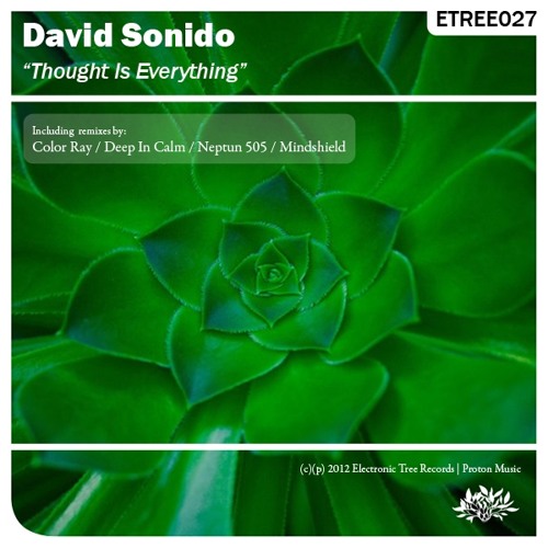David Sonido - Thought Is Everything (Deep In Calm Remix) ...SNIPPET...