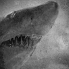 Kahden Viikon Mies (2012 UK release)