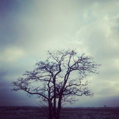 Blog&Bleistift - Januar 2013