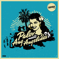 Waste Of Time - Palov meets Ang.Angelides