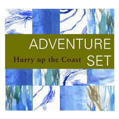 Hurry up the Coast [2013 home demo]