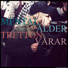 4. Mental ålder tretton vårar - Fucking asshole