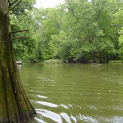 Grady Lowery & John McGhee - Alabama