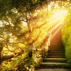 A Light From Heaven