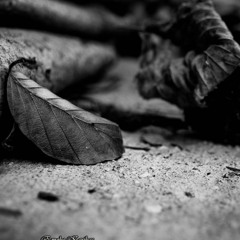 ♫ Stylo w wAr9a   ♫◄ By {MAFIOUZ & THE DANGER}