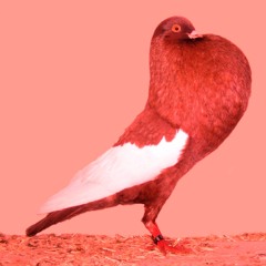 †WEN†Y NINE, EIGH†Y †HREE