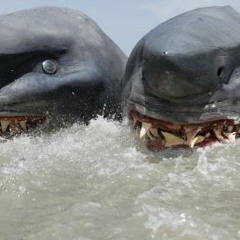 Two Headed Shark Attack