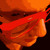 Artwork for Change Request: Four Play Music Sessions Mix