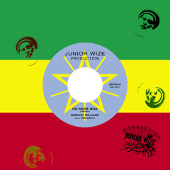 Sweeney Williams And The Storm Force - Dubwize
