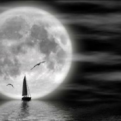 Navegando En La Luna