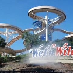 Flexx - Dolores (Wet 'N' Wild)